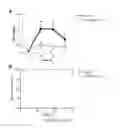Fig. 12 - COMPOSITIONS AND METHODS FOR THE STUDY AND TREATMENT OF ACUTE KIDNEY INJURY