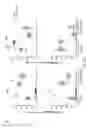 Fig. 14 - COMPOSITIONS AND METHODS FOR THE STUDY AND TREATMENT OF ACUTE KIDNEY INJURY