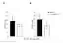 Fig. 19 - COMPOSITIONS AND METHODS FOR THE STUDY AND TREATMENT OF ACUTE KIDNEY INJURY
