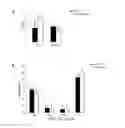 Fig. 20 - COMPOSITIONS AND METHODS FOR THE STUDY AND TREATMENT OF ACUTE KIDNEY INJURY
