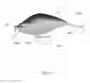 Fig. 02 - FISHING LURE