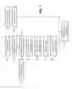 Fig. 20 - IMPRINTED MULTI-LAYER BIOCIDAL PARTICLE STRUCTURE