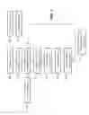 Fig. 20 - Making imprinted particle structure