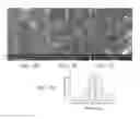 Fig. 11 - Doped metal oxide nanoparticles of and uses thereof