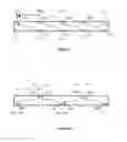 Fig. 02 - Method and apparatus for slaughtering of fish