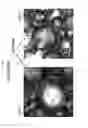 Fig. 08 - Process for the preparation of whey protein aggregate particles and use thereof