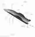 Fig. 14 - Holder for cigars, and the like