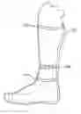 Fig. 01 - FOOTWEAR LINER