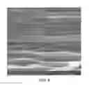 Fig. 06 - Garment Containing a Porous Polymer Material