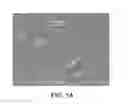 Fig. 13 - Garment Containing a Porous Polymer Material