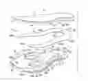Fig. 01 - Article of footwear with a midsole assembly having a perimeter bladder element, a method of manufacturing and a mold assembly for same