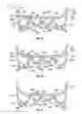 Fig. 24 - Article of footwear with a midsole assembly having a perimeter bladder element, a method of manufacturing and a mold assembly for same