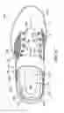 Fig. 05 - Strap securing system, E.G., for articles of footwear and other foot-receiving devices