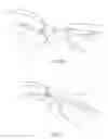 Fig. 26 - Hygienic cosmetic applicator