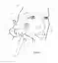 Fig. 29 - Hygienic cosmetic applicator