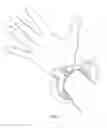Fig. 06 - Bracelet Towel Clip