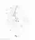 Fig. 02 - Wearable child carriers and methods of use