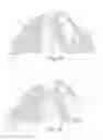 Fig. 05 - Wearable child carriers and methods of use