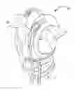 Fig. 01 - Child carrier