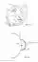 Fig. 10 - Child carrier