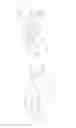 Fig. 05 - Item of Food Packaging