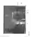 Fig. 14 - CONTROL UNIT FOR CONTROLLING AN AUTOMATIC DEVICE FOR PREPARING BEVERAGES