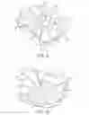 Fig. 10 - Beverage preparation machine