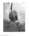 Fig. 01 - Handle Assembly and Mobility System for Floor Cleaner