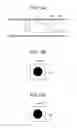 Fig. 13 - Capsule endoscope device