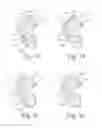 Fig. 10 - Wearable Device for the Ear with Electroencephalographic and Spectroscopic Sensors