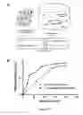 Fig. 13 - Hydrogel Pressure Sealant System
