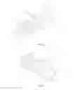 Fig. 04 - Two suture anchor