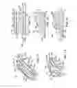 Fig. 22 - Cartridge assemblies for surgical staplers