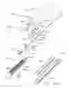Fig. 118 - Surgical stapler with stationary staple drivers
