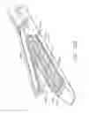 Fig. 197 - Surgical stapler with stationary staple drivers