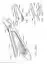 Fig. 221 - Surgical stapler with stationary staple drivers