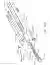 Fig. 238 - Surgical stapler with stationary staple drivers