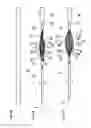Fig. 04 - Medical device and treatment method