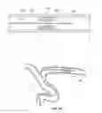 Fig. 03 - Devices and systems for thrombus treatment