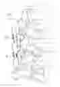 Fig. 01 - Interspinous implants and methods