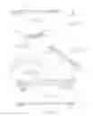 Fig. 09 - ORTHOPEDIC PLATE FOR USE IN SMALL BONE REPAIR