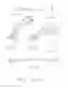 Fig. 10 - ORTHOPEDIC PLATE FOR USE IN SMALL BONE REPAIR