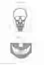Fig. 07 - Apparatus for generating dental data for manufacturing an aligner and method of manufacturing clear aligner using the apparatus