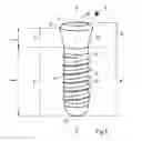 Fig. 02 - Dental implant