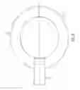 Fig. 06 - Percutaneous implantable nuclear prosthesis