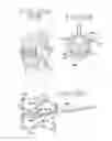 Fig. 07 - Spinal tissue distraction devices