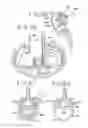 Fig. 19 - Spinal tissue distraction devices
