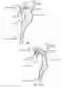 Fig. 16 - Devices and methods for treating aneurysms and other vascular conditions