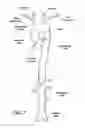 Fig. 02 - Vascular graft device placement methods