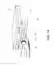 Fig. 15 - Toe orthosis